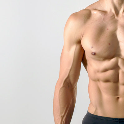 Men: Muscle Sculpting: Arm
